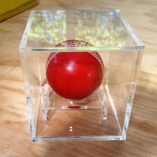 cricket ball display case